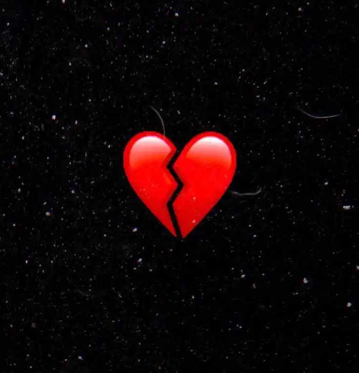 No Love Dp