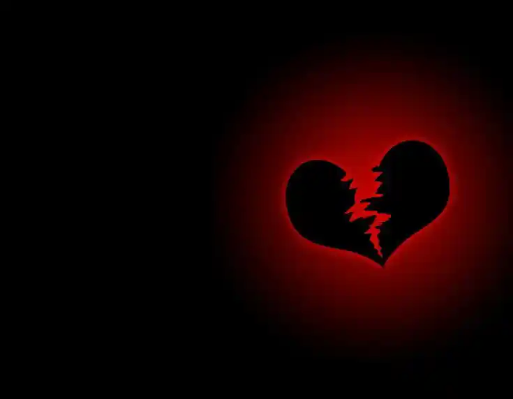 No Love Images